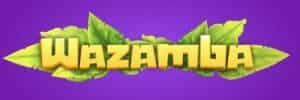 Jogar blaze online
