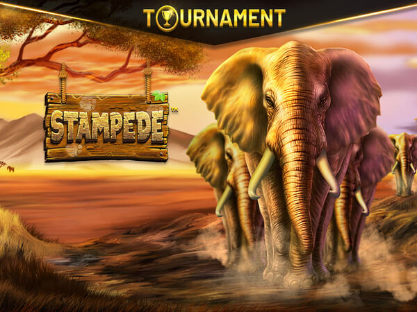 Jogar dobble